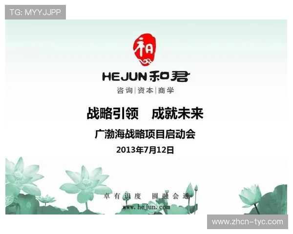 太阳城公司发展战略与未来规划全面解析