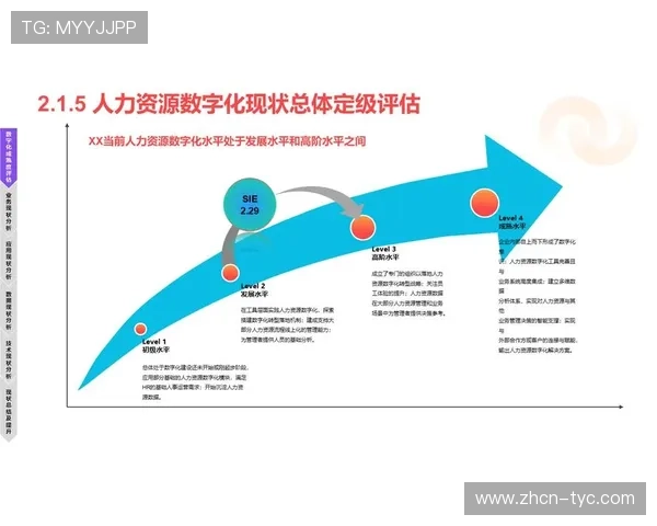 太阳城集团在数字化转型中的创新措施与应用案例