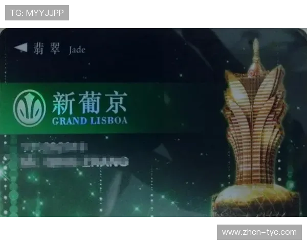 澳门新葡京广告合作伙伴关系构建与跨界合作的成功案例分析 澳门新葡京广告合作伙伴关系构建与跨界合作的成功案例分析