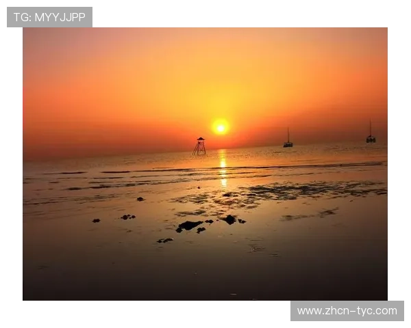 太阳3平台登录地址最新入口,便捷快速安全稳定的官方登录指南